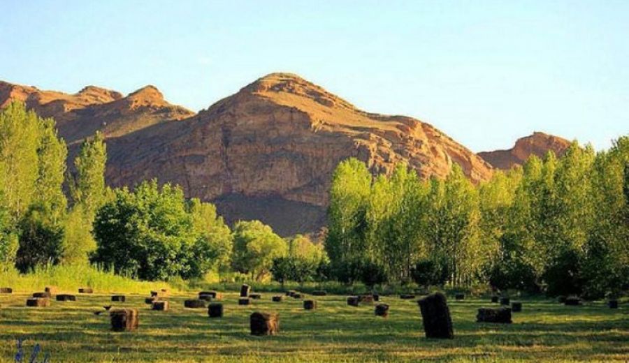 Adana Nakliyeci